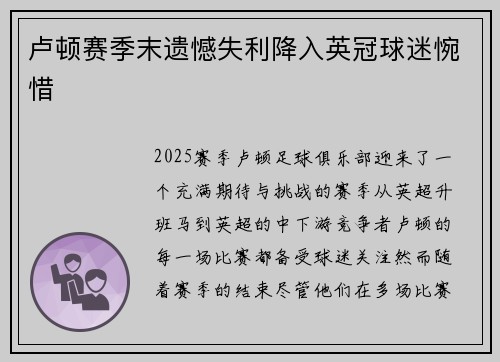 卢顿赛季末遗憾失利降入英冠球迷惋惜 卢顿赛季末遗憾失利降入英冠球迷惋惜